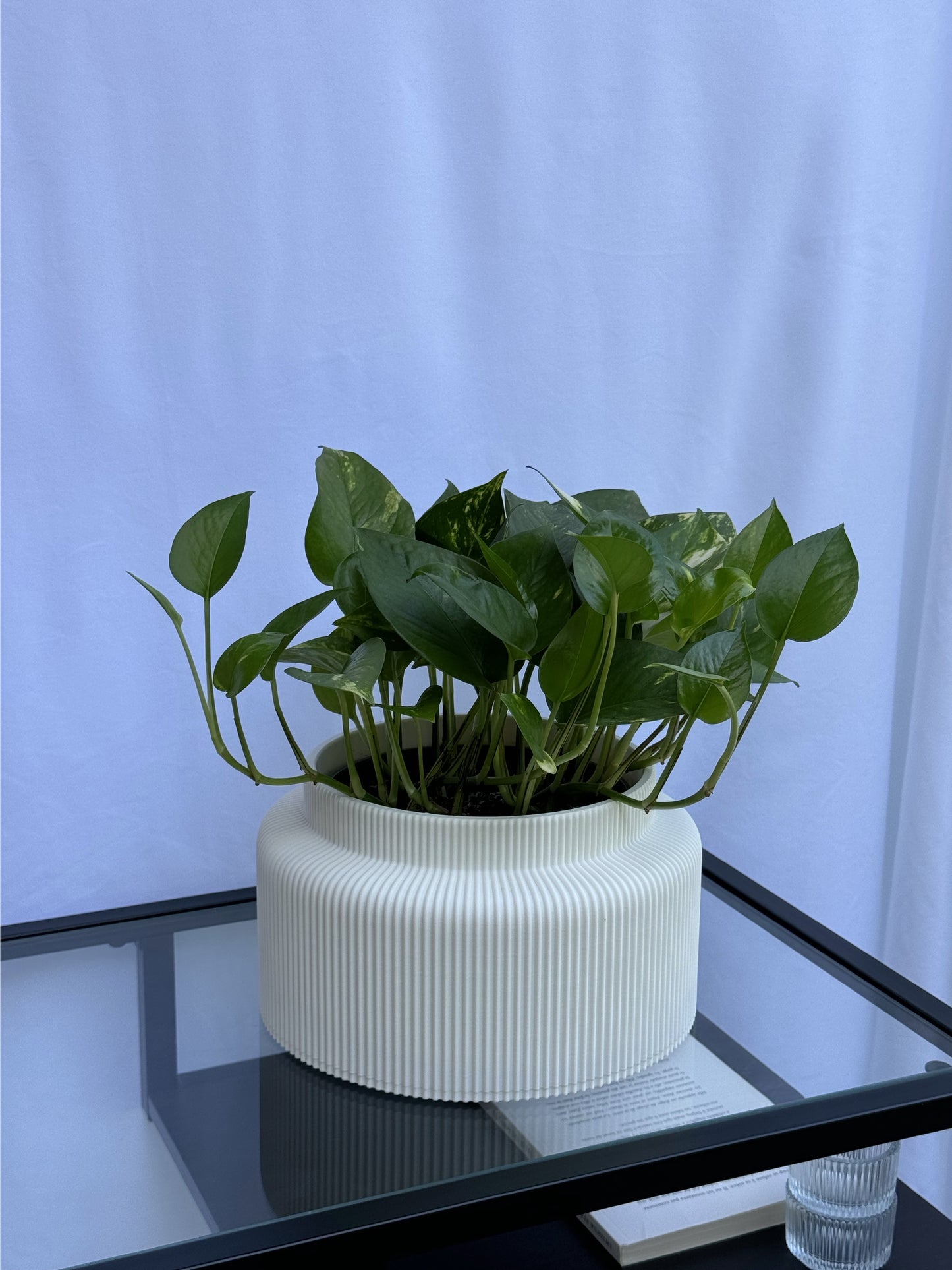 Le cache-pot Saké