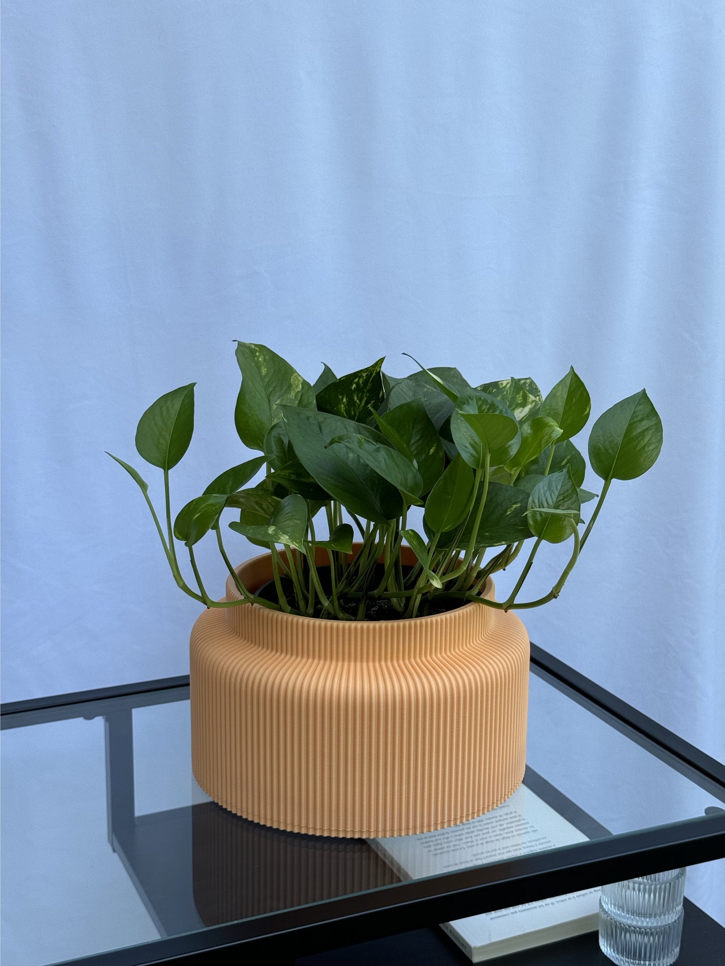 Le cache-pot Saké