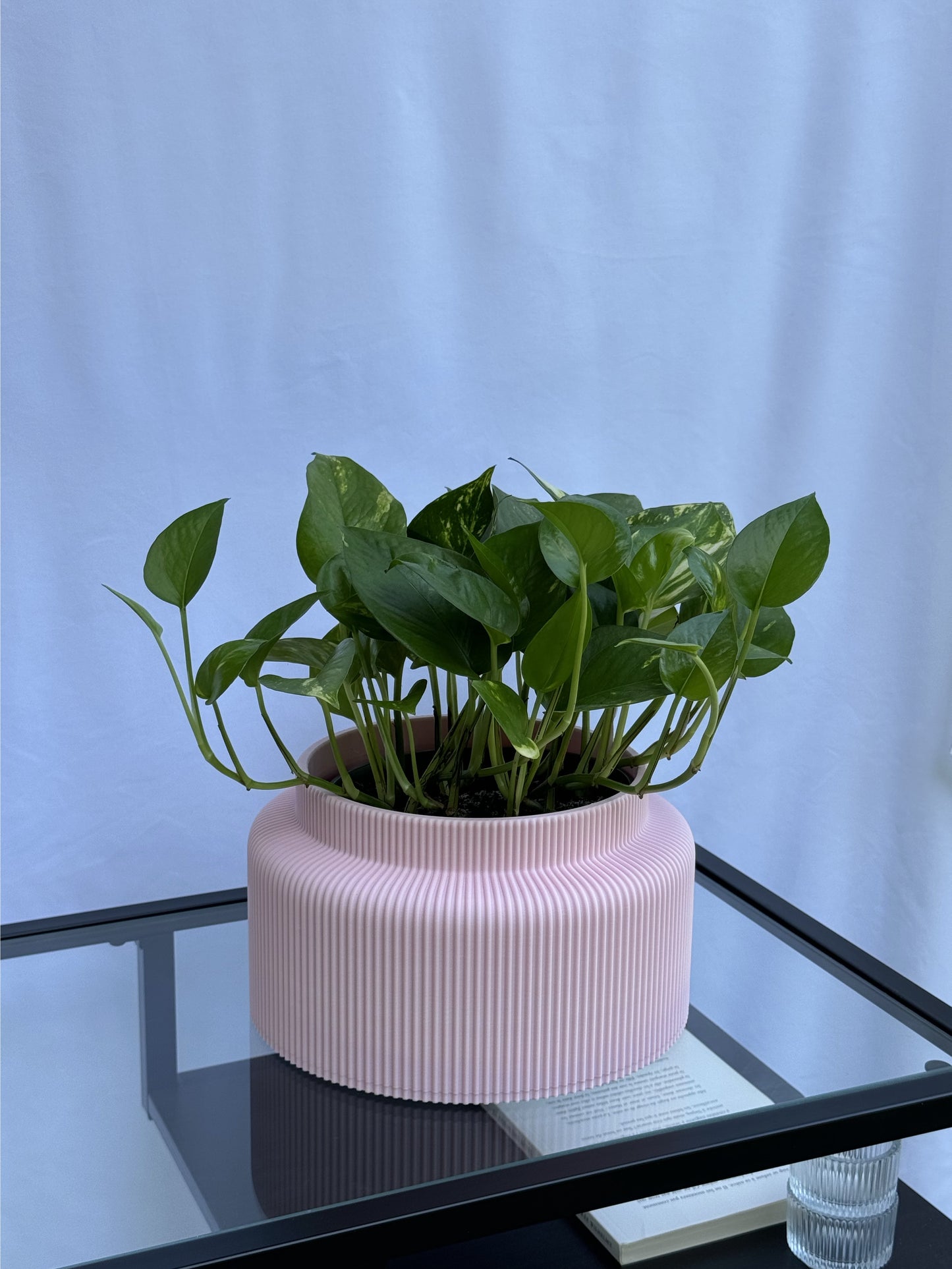 Le cache-pot Saké