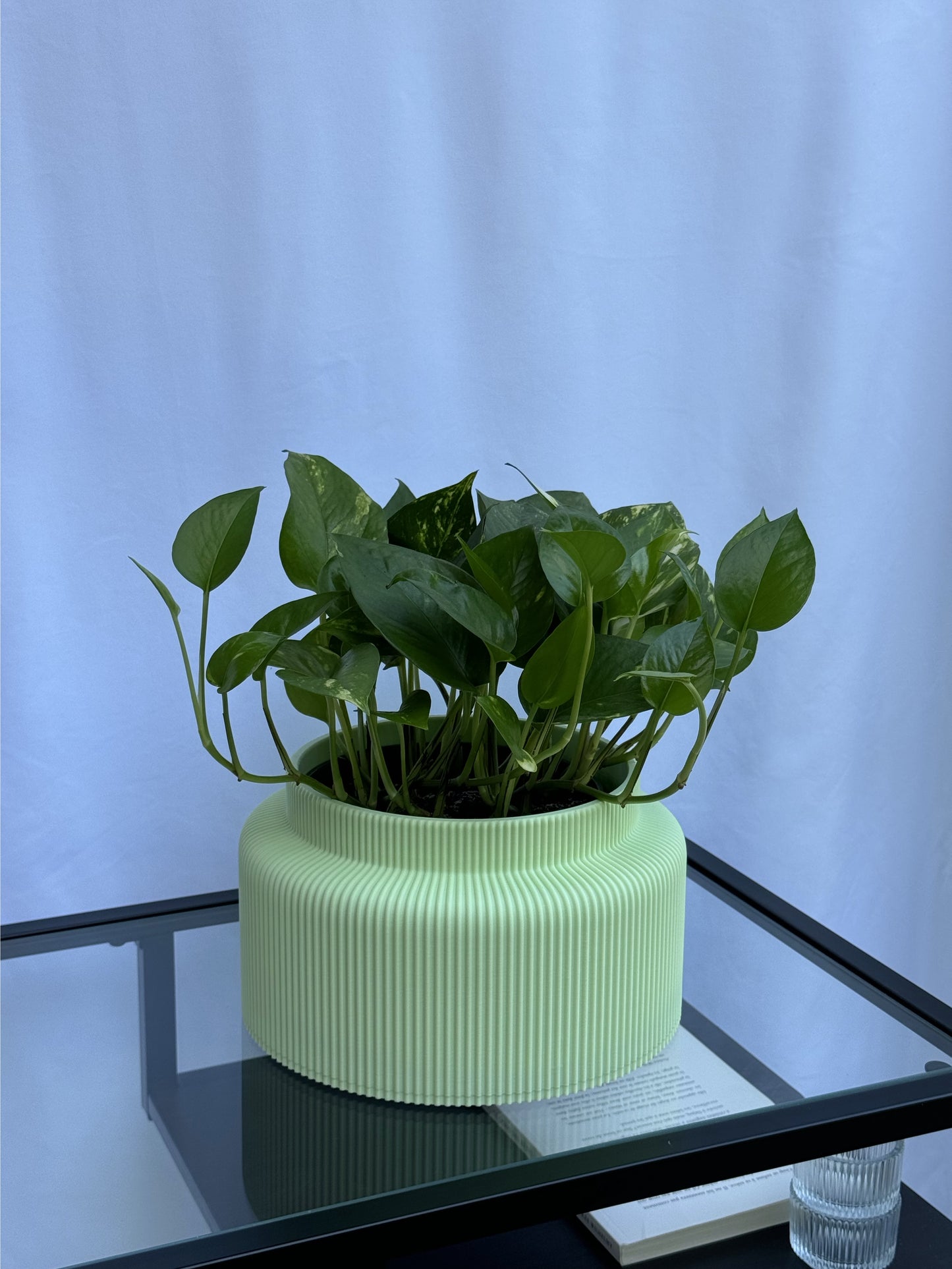 Le cache-pot Saké