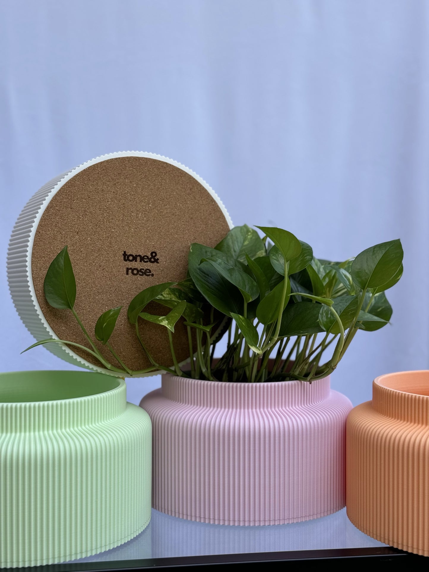 Le cache-pot Saké