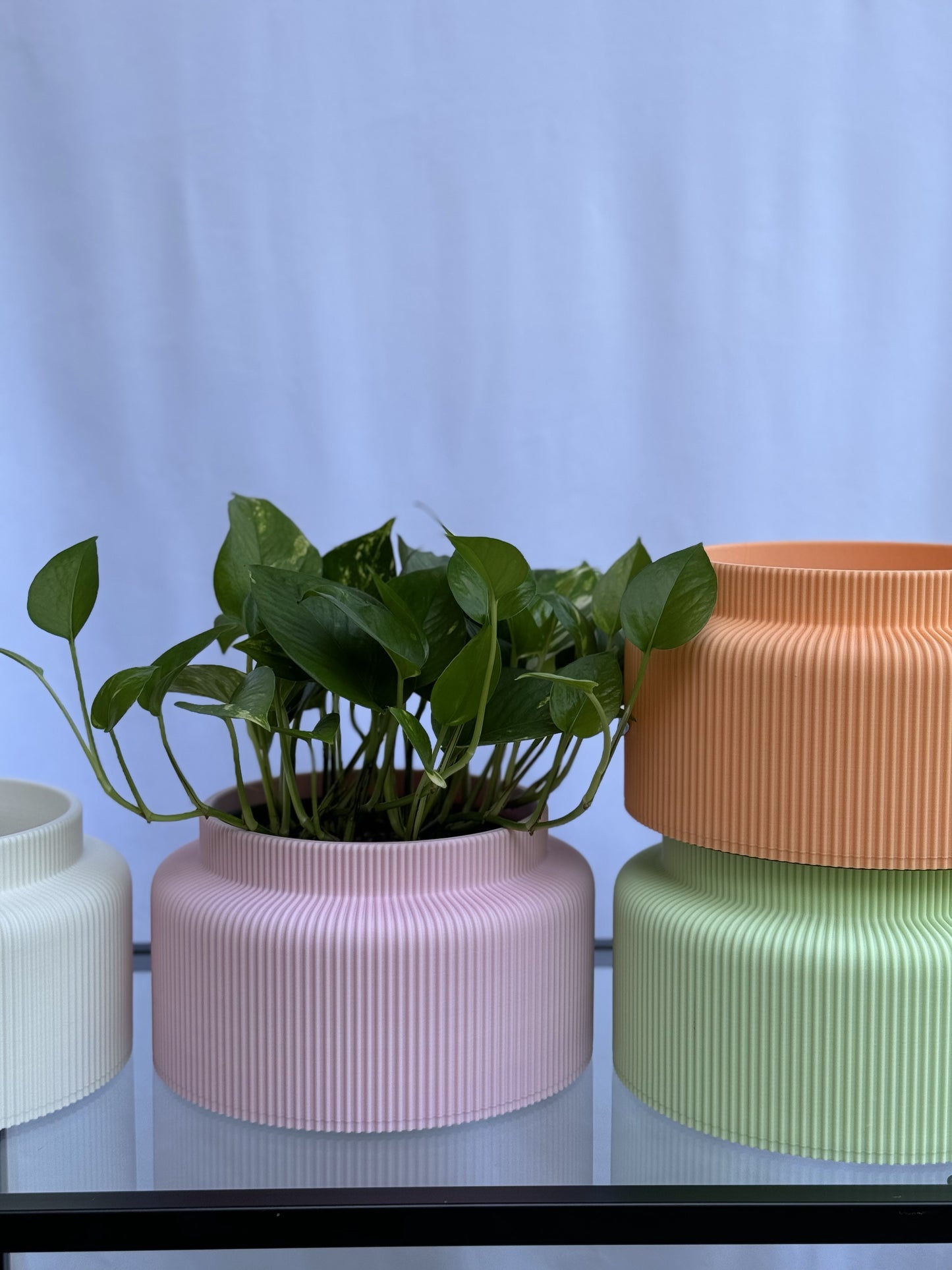 Le cache-pot Saké